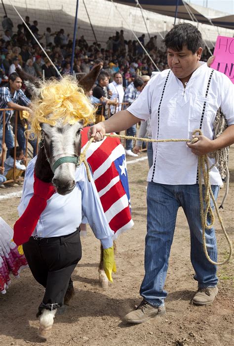 donkey show mexico porn|'mexican donkey show' Search .